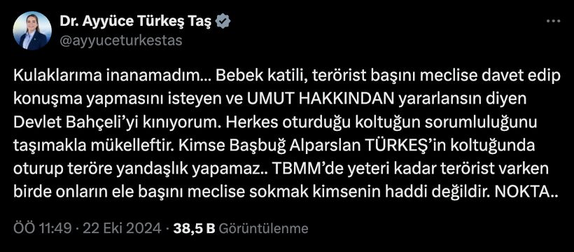 Devlet Bahçeli'ye Alparslan Türkeş'in kızı Ayyüce Türkeş'den tepki - Resim : 1